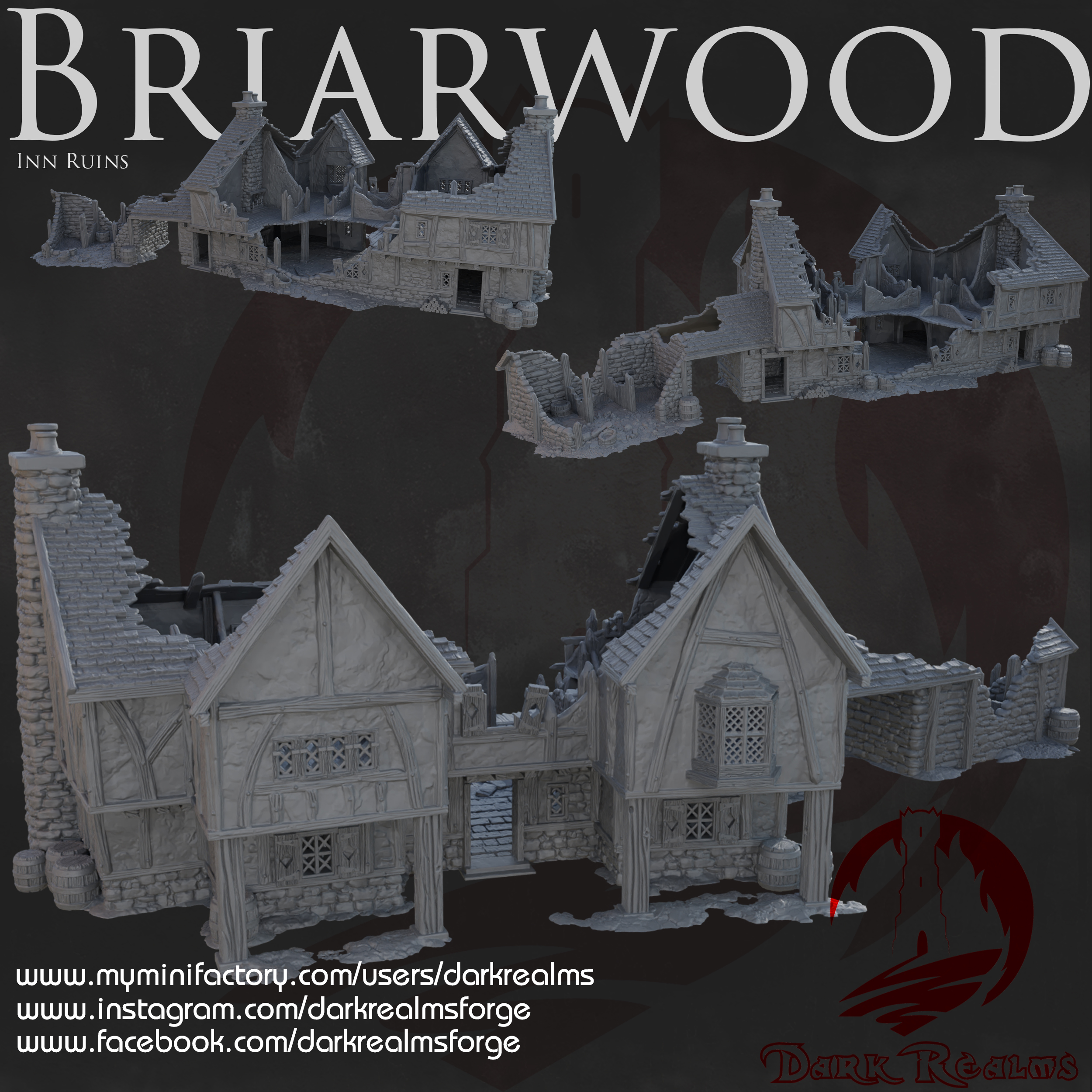 Dark Realms - Briarwood - The Leaping Frog Inn Ruins
